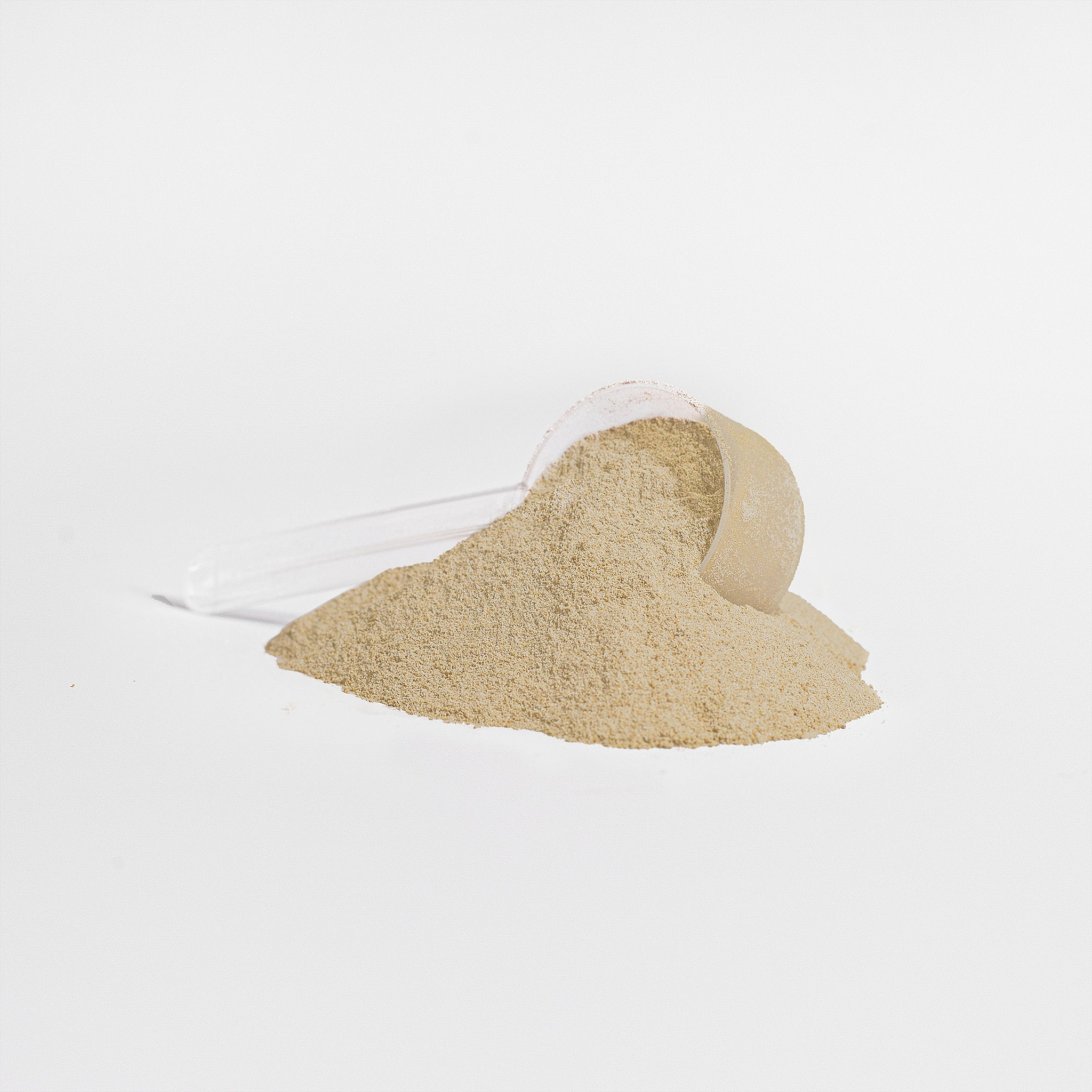 Advanced 100% Whey Protein Isolate (Vanilla Dream) - Image 5